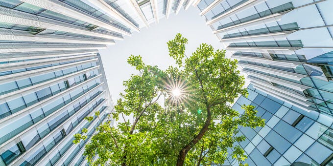 a tree in front of a building