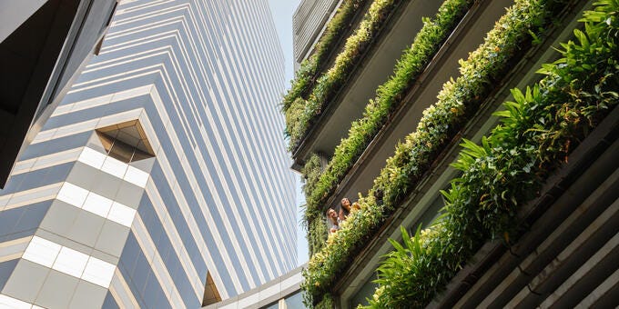 a building with a tree growing on the roof